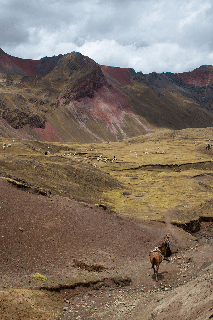 Vinicunca Moutaina Peru Rainbow Mountains woman with horse and alpaca, Kolorowe Góry kobieta z koniem i alpakami